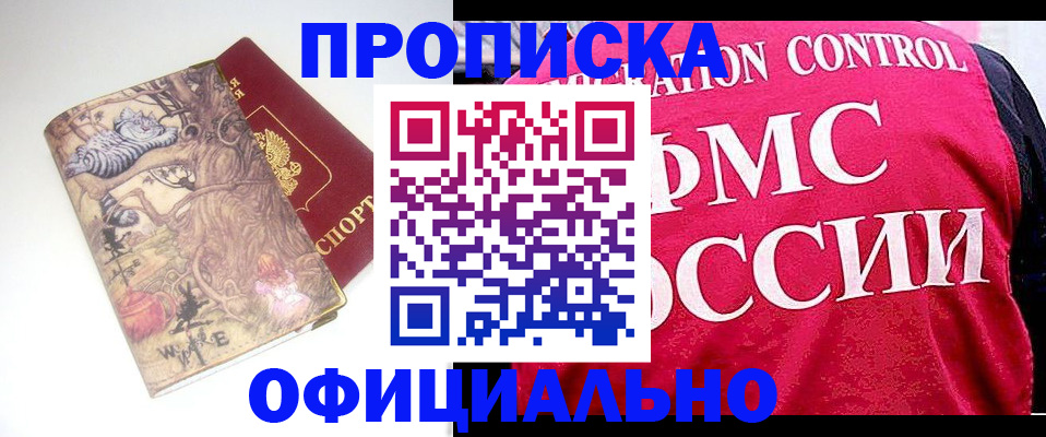 прописка в квартире в Бабаево